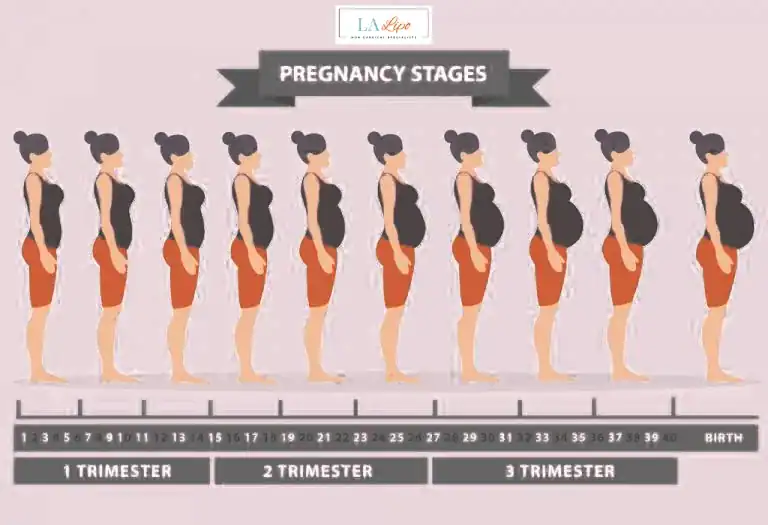 First Trimester (Weeks 1–12): Early Changes You Might Not Notice West Acton